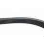 Ремінь генератора VW LT 2.8TDI 96KW/Ford Transit 2.0DI 00-14 (6PK1637)