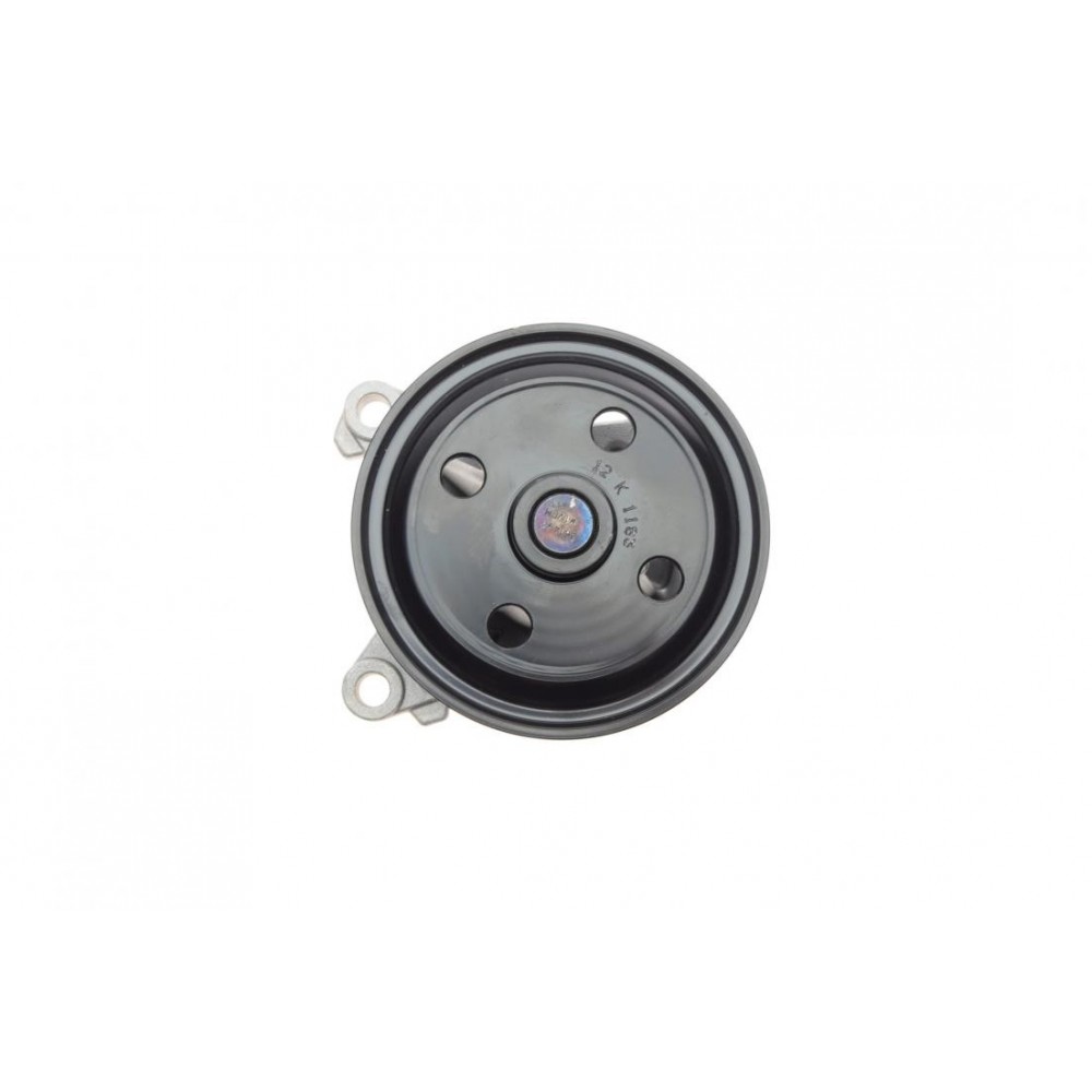 Помпа води Renault Laguna III/Megane III/Scenic III/Nissan X-Trail/Qashqai 2.0 16V 07-