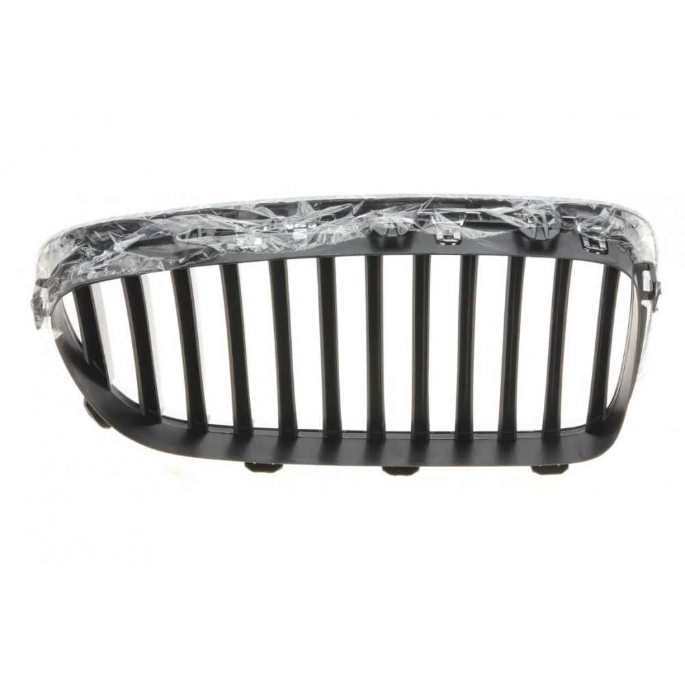 Решітка радіатора BMW 5 (F10) 13-16 (L)