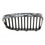 Решітка радіатора BMW 5 (F10) 13-16 (L)