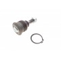 Опора кульова (передня/знизу) Nissan Primera/Sunny 86-02/Almera II 00-
