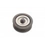 Ролик генератора Hyundai Accent/Kia Rio 1.1D-1.7D 05- (паразитний) (60x19)