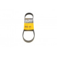 Ремінь генератора Peugeot Partner 1.8/VW Polo 1.0-1.6 (-AC/-PS) 97-02/VW Caddy 1.4/1.6 (ALT) 95-04