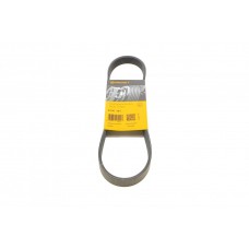 Ремінь генератора Peugeot Partner 1.8/VW Polo 1.0-1.6 (-AC/-PS) 97-02/VW Caddy 1.4/1.6 (ALT) 95-04