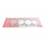 Прокладка ГБЦ Nissan Primera 2.0D 91-96/Sunny III 90-00 (1.25mm)