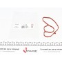 Прокладка термостата MB A(W177)/B(W247)/Renault Scenic/Kadjar/Megane 1.0/1.3 18-