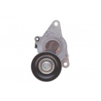 Натяжник ременя генератора Nissan Navara/Pathfinder 2.5 dCi 05- (70x33.5)