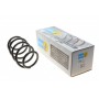 Пружина (передня) VW Passat /B7 1.6-2.0TDI/1.4-2.0 05-14 (B3)
