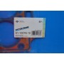 Прокладка ГБЦ BMW 3 (G20/G80/G28)/5 (G30/F90)/7 (G11/G12) 16- (1.00mm) B46/B48