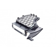 Решітка бампера BMW X5 (G05) 18-(R)