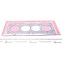 Прокладка ГБЦ Nissan Primera/Sentra/X-Trail 2.0-2.5 01-