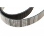 Ремінь генератора BMW 5 (E39)/7 (E38) 3.5i/4.0i 96-03 (7PK1635)