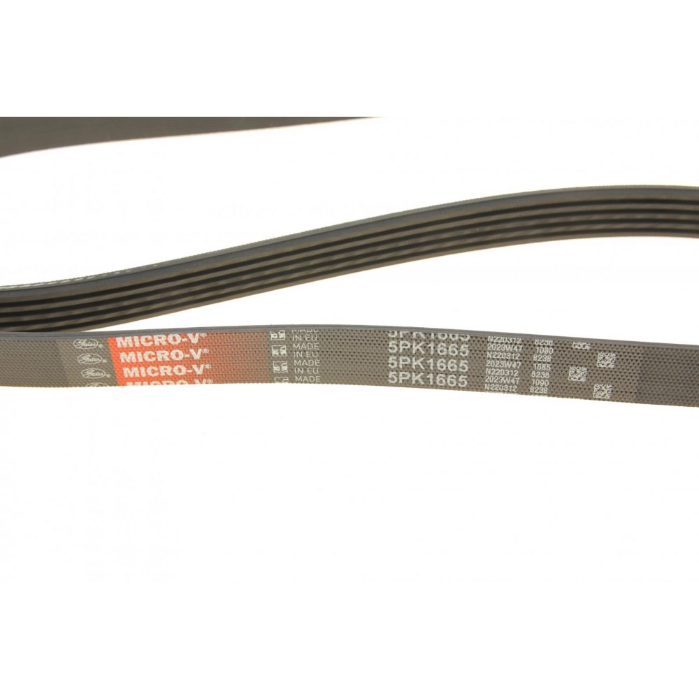 Ремінь генератора Suzuki SX4 2.0 06- (5PK1665)