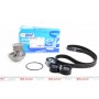 Комплект ГРМ + помпа Opel Astra F/Vectra A/B/Omega B 1.8-2.0i 16V 93-99 (169х24) (PA572)