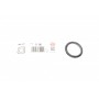 Прокладка колектора впускного Citroen Berlingo/Peugeot Expert 1.6 HDI 05- (d=35mm)