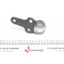 Опора кульова (передня/знизу) Ford Focus 98-04 (d=16.5mm)