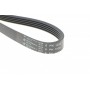 Ремінь генератора Mazda 323/626/ Opel Astra G/Vectra B/C 2.0/2.2 00-08