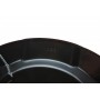 Захист диска гальмівного (заднього) (R) Nissan Qashqai 07-14