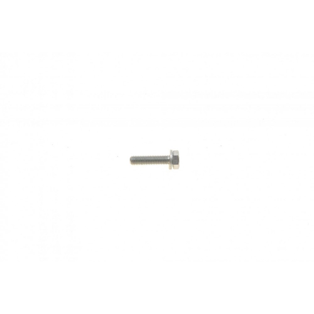 Болт колектора впускного BMW 3 (E36/E46) 82-06 (M6x25-Z1)