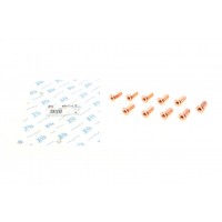Гайка колектора випускного BMW (M7x1.0mm) (к-кт 10шт)
