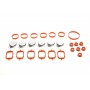 Комплект прокладок колектора впускного BMW 1/3/5/6/7 (2.0/2.5/3.0) 98- M47/M57/N57