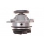 Помпа води Ford Focus I/Mondeo II/Transit/Tourneo Connect 1.6/1.8/2.0 16V 02-13 (R/B) (6 лоп.)