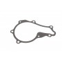 Помпа води Citroen Berlingo/C2-C5/Fiat Scudo/Ford Transit/Focus/Mazda 3 1.5-1.6TDCI/HDI/D 04-