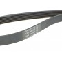 Ремінь генератора Citroen Jumper 1.9TD 94-02 (ALT,PS,AC)