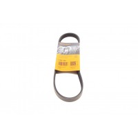 Ремінь генератора Subaru Forester 2.0 08-13/Impreza 1.6/2.0 92-07/Legacy 1.8-2.5 89-14/Outback 12-