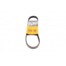 Ремінь генератора Subaru Forester 2.0 08-13/Impreza 1.6/2.0 92-07/Legacy 1.8-2.5 89-14/Outback 12-