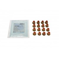 Сальник клапана (впуск/випуск) BMW 3(E90)/5(E39)/7(E38) 2.0D/3.9D 07-11 (к-кт 16шт)