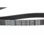 Ремінь генератора Fiat Palio 1.2 97-/Land Rover Freelander 1.8i 98-06