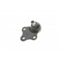 Опора кульова (передня/знизу) Citroen Berlingo/Peugeot Partner 1.8i/1.9D 96-08