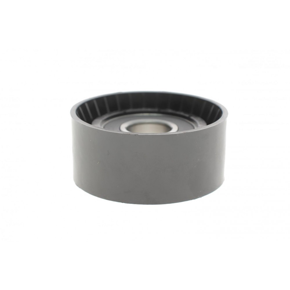 Ролик генератора Mitsubishi Carisma/Space 1.9DI-D 00-06 (паразитний) (60х25,5) (MPQ0014)