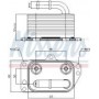 Радіатор масляний Citroen Jumpy/Peugeot Expert 2.0i 07- (теплообмінник)
