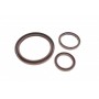Комплект прокладок (нижній) Nissan Navara/Pathfinder 2.5 dCi 01-