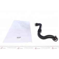 Патрубок інтеркулера Renault Megane II/Scenic II 1.9 DCI 02-