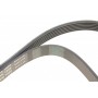 Ремінь генератора Ford Focus 1.8 TDCi 05-12/Skoda Octavia 1.4 i 99-01 (6PK1520)