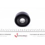 Ролик генератора Fiat Ducato 1.9TD 94-02 (паразитний) (80х23)
