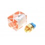 Датчик температури охолоджуючої рідини Fiat Scudo/Peugeot Expert/Citroen Jumpy 95-06 (M22x1.5)