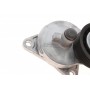 Натяжник ременя генератора Ford Transit Connect 1.8 16V 02-13