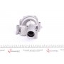 Помпа води Citroen C4/C5/C8/Jumpy/Fiat Scudo/Peugeot 206/307/406/407 2.0 16V 99- (20z)(R/B)(з корп.)