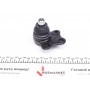 Опора кульова (передня/знизу) Ford Fiesta/Fusion 1.2-1.6 01-12