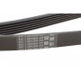 Ремінь генератора VW Amarok/Kia Sorento/Fiat Freemont 2.0/2.4/2.4 CVVT/3.0TDI 09-