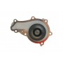 Комплект ГРМ + помпа Citroen Berlingo/Jumpy/Peugeot Partner 1.6HDI/Fiat Scudo 1.6 D 10- (25x141z)