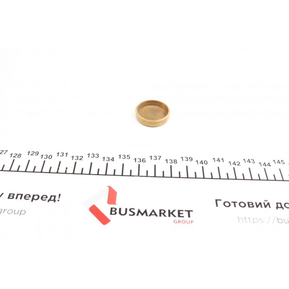 Заглушка блоку циліндрів (d=24,3mm) Латунь/Brass