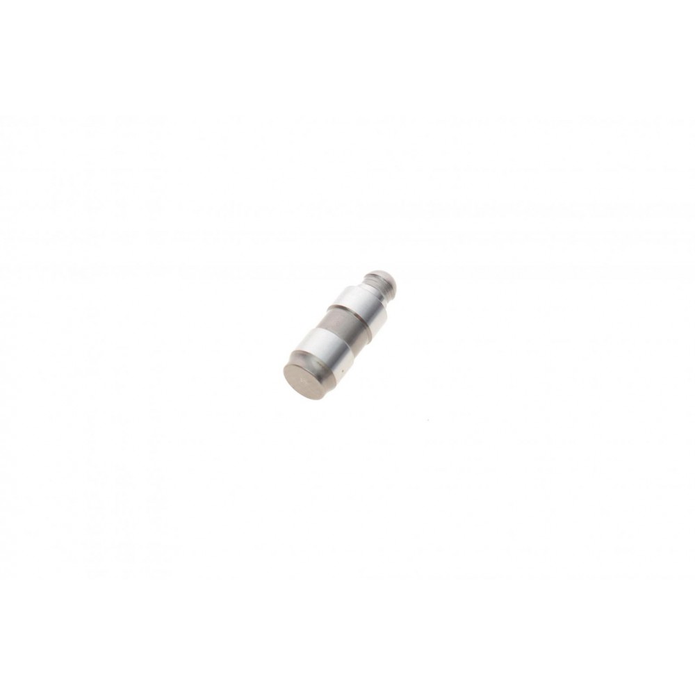 Гідрокомпенсатор BMW X5 (E70/F15/F85)/X6 (E71/E72/F16/F86) 06-, N43/N20/N52-N55/S55