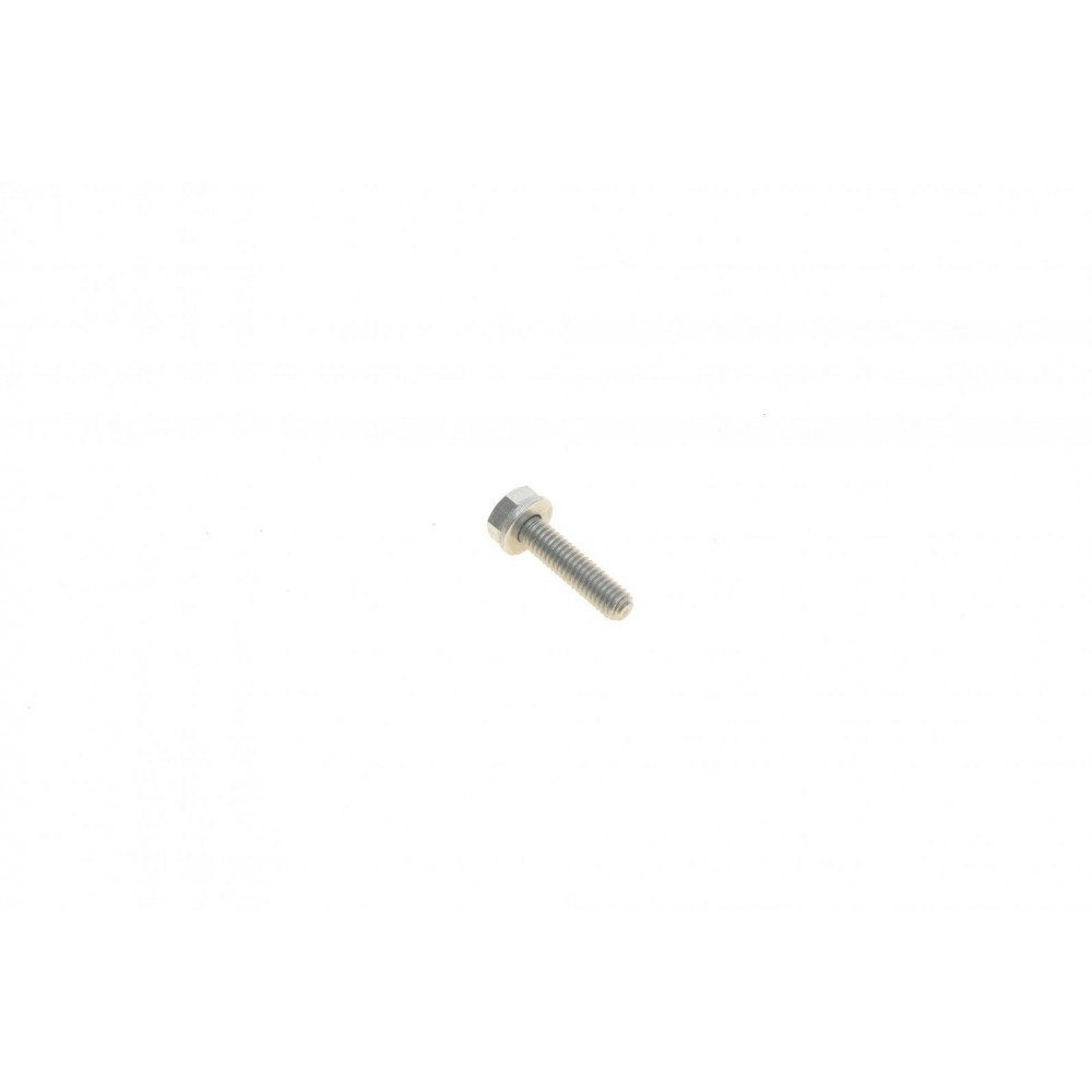 Болт колектора впускного BMW 3 (E36/E46) 82-06 (M6x25-Z1)