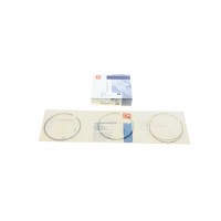 Кільця поршневі Fiat Ducato 2.3D 06- (88.00mm/STD) (2.5-2-2.5) = 8920640000
