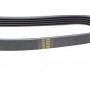 Ремінь генератора Citroen Berlingo 1.6/Peugeot Partner 1.4i 96- (5PK1218)